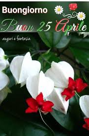 Buon 25 aprile a tutti! 24 Idee Su Buon 25 Aprile 25 Aprile Buongiorno Buongiorno Immagini