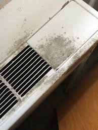 In indiana, like most states, there is no requirement to act like a mold expert. Mold In College Dorms Dealing With Mold