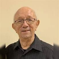 John David Bloss Obituary