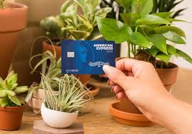 We did not find results for: American Express Introduces New Cashback Credit Card To Appeal To Millennials Marketwatch