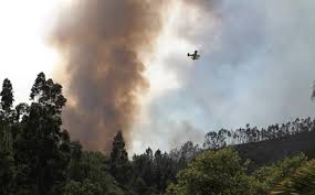 1672 brach der vulkan cabeço di fogo aus. Fogo Em Monchique Ja Queimou 1 000 Hectares Ambiente Jornal De Negocios