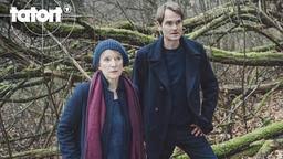 Der start des reizvoll und klug zusammengestellten neuen trios aus bremen ist äußerst vielversprechend. Video Vorschau Neugeboren Tatort Ard Das Erste