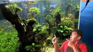 My New Aquarium Cartimar Tour Tarantula Youtube