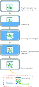 The product is largely free of neutral and acidic or basic impurities. A Review Of Sustainable And Intensified Techniques For Extraction Of Food And Natural Products Green Chemistry Rsc Publishing