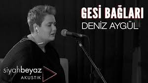 Elif Suluova Kirli Beyaz Kedi Siyahbeyaz Akustik Youtube