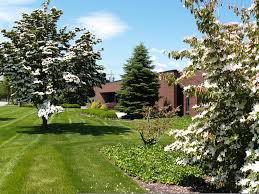 Let us maintain your commercial or residential property and we will give you the best service, prices and quality in the north west , seattle, snohomish, redmond, kirkland, issaquah, bothell, bellevue, king county Commercial Landscape Maintenance Services In Bergen County Northern Nj