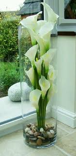 Sign In Cool Ideas Cicekciler Calla Lilies