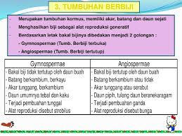 Biji yang ada berasal dari bakal biji dan mengandung calon individu baru. Tumbuhan Biji Spermatophyta Ppt Download