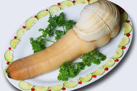 Image result for geoduck