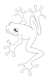 Frog coloring page free to print. Red Eyed Tree Frog Coloring Page Bmo Show