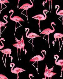 Flamingo Fabric Flamingo Fabrics Flamingo Fabric Flamingo Flamingo Pattern