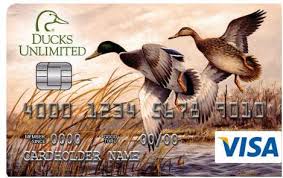 The chase freedom unlimited® is a great cashback card for cardholders seeking simplicity, or for chase loyalists looking for the perfect combination of cards to maximize rewards. Du And First Bankcard Launch New Visa Card