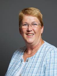 Ann Davies (politician)