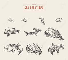 See more ideas about underwater drawing, drawings, fish art. Set Realistic Sea Creatures Drawn Vector Sketch Royalty Free Cliparts Vectors And Stock Illustration Image 83813844