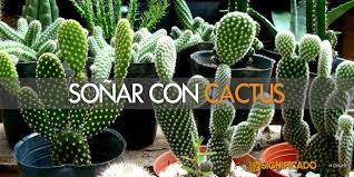 Nopal cactus juice, the other green smoothie? Sonar Con Cactus