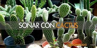 63 likes · 4 talking about this. Sonar Con Cactus