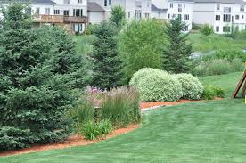 Start date jun 23, 2019. Zone 7 Evergreen Tree Varieties Growing Evergreen Trees In Zone 7 Gardens