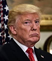 dan haddock (@danhaddock3)