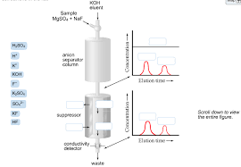 In order to find the amount of charges, we have to use a unit that integrates both the concentration (and mass) of the ion and its charge. In The Figure Below Suppressed Ion Anion Chromato Chegg Com