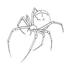 592 x 517 jpeg 20kb. Spider Tattoos Designs Ideas And Meaning Tattoos For You