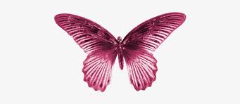 We like to hand select the best gifs found on the internets.the tiny gifs can be as old as 1999. Pink Butterfly Gif Gif 500x326 Png Download Pngkit