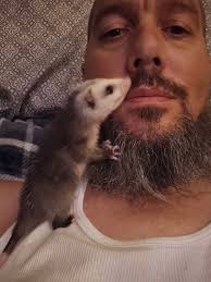 Abandoned opossum found near riding mower