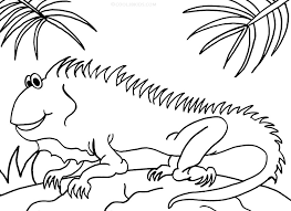 We did not find results for: Printable Iguana Coloring Pages For Kids