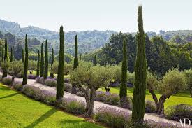 South Of France Home By Frederic Fekkai Romantic Villa Provence Olive Trees Landscape Landscape Design Mediterranean Landscaping