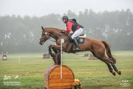 Emilia (エミリア) is the main heroine of the re:zero kara hajimeru isekai seikatsu series. Pawel Spisak Takes Over Cci4 S Lead On Xc Day At Lotto Baborowko Horse Sale Show Eventing Nation Three Day Eventing News Results Videos And Commentary