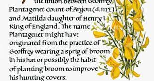 Pin By Kate Miles On Richard Iii My Family History English History Plantagenet