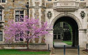 Spring In Ann Arbor Michigan Photos Eastern Michigan University Ann Arbor Michigan