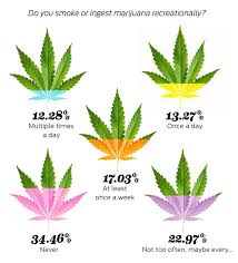 heres how much westchester smokes pot westchester