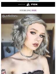 Arctic Fox: Sterling Looks Good On YOU 🦊 🤍