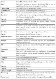 Herbs Table Chart Pdf Plant Pests Horseradish Plant