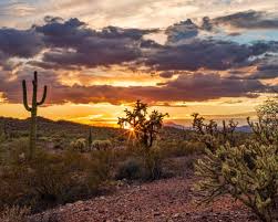Explore phoenix's sunrise and sunset, moonrise and moonset. Carrier Commercial Service Phoenix Az