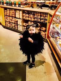 Black And White Swan Costume Pin On Halloweeeeen