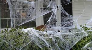 The form is given below screenshot you can see currently there is no targeted website inside site map of burp suite. Beware Fake Halloween Cobwebs Threaten Wildlife Edhat