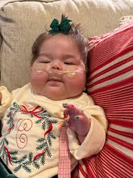 Froberg Fruit and Vegetable Farm, Alvin, Texas