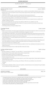 it support analyst resume sample
