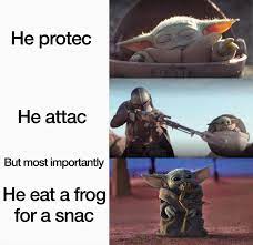 Finally Some Good Froggin Food Funny Star Wars Memes Yoda Meme Star Wars Jokes