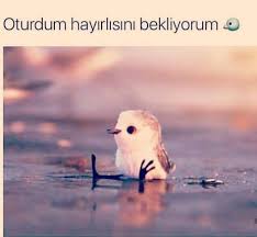 Yerim Seni Minik Melek Mizah Komik Resimler