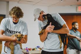 Thank you for contacting us. John Isner On Twitter Had A Blast With The Puppies Today Humanemiami Thank You Miamiopen For Setting This Up Miamiopenunites Alex Adopted The Puppy In His Arms Today Adoptdontshop Https T Co Zbrtihj0nl