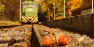 Indul a zsuzsi vonat debrecenben. Oszi Kirandulas A Zsuzsival Megy A Gozos Harmashegyaljara Debrecen Hirei Debreceni Hirek Debrecen Es Hajdu Bihar Megye Hirei Dehir Hu