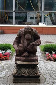 Калининградский зоопарк