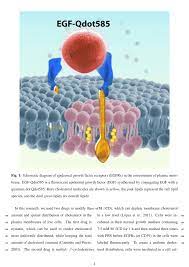To clinical veterinary practice, with the ultimate aim of promoting the best practices. Camel An International Journal Of Veterinary Sciences Template New Delhi Publisher
