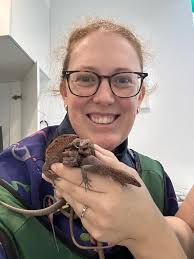 Goanna photos or sightings in Australia?