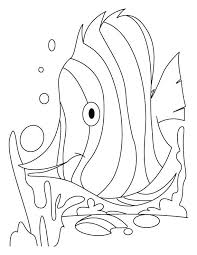 Pin On Fish Coloring Page