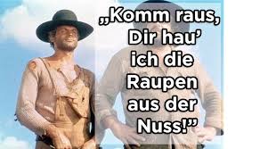 Wenn Ihr Euch Zum Zocken Verabredet Willst Du Sarg Oder Urne Sportzitate Bud Spencer Zitate Spruche