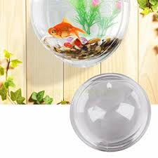Fish Bowl Wall Mount Betta Tank Aquarium Round Hanging 1 Gallon Bubble Acrylic S Fish Tank Wall Hanging Plant Wall Glass Fish Bowl