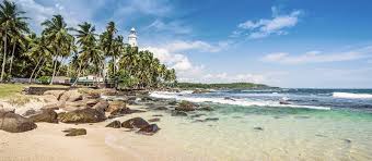 Es geht für uns endlich in den schönen süden sri lankas. Kultur Strand Safaris In Sri Lanka Enchanting Travels